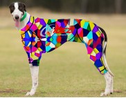 RACING-SUIT-PRINTED-KALEIDOSCOPE