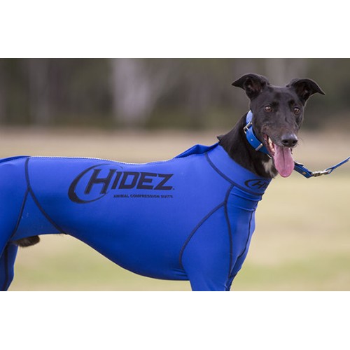 compression suits for cannie all breeds