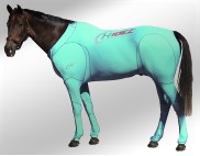 EQUINE SUIT AQUAMARINE