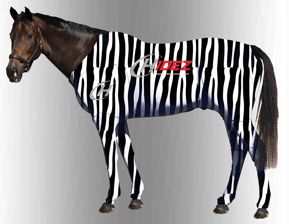 Cwell Equine Tappeto In Pile Peso Massimo 240gsm Per Cavallo - Stampa Zebra - Show - Foto 2
